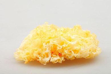 《方舟：终极幸存者版》Switch版实机演示 9月发售